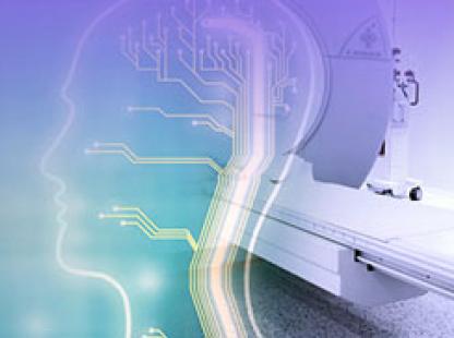 Institute for Brain and Neuroscience Research Institute for Brain and Neuroscience Research